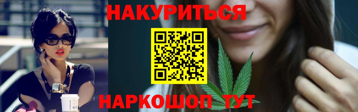 Бошки марихуана сатива  Шишки марихуана конопля  Вход с VPN  Кудрово  Канабис Ganja 
